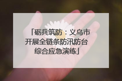 砺兵筑防：义乌市开展全链条防汛防台综合应急演练