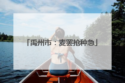 禹州市：麦罢抢种急