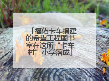 福佑卡车捐建的希望工程图书室在这所“卡车村”小学落成