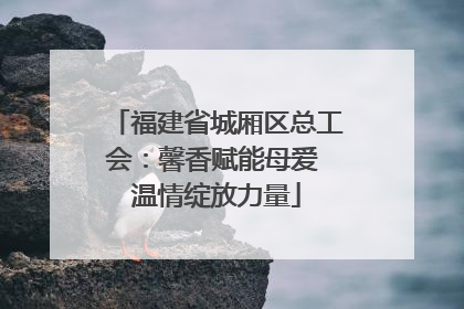 福建省城厢区总工会：馨香赋能母爱 温情绽放力量