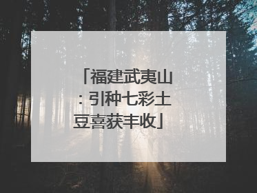 福建武夷山：引种七彩土豆喜获丰收