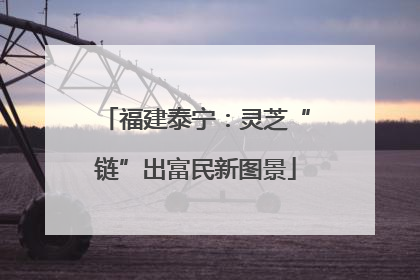福建泰宁：灵芝“链”出富民新图景