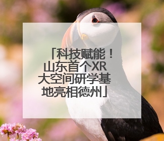 科技赋能！山东首个XR大空间研学基地亮相德州