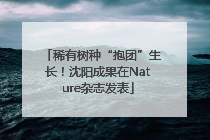 稀有树种“抱团”生长！沈阳成果在Nature杂志发表