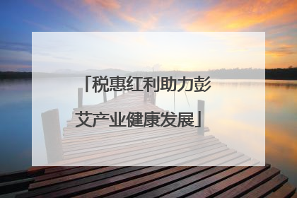 税惠红利助力彭艾产业健康发展