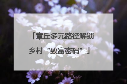 章丘多元路径解锁乡村“致富密码”