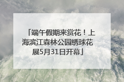 端午假期来赏花！上海滨江森林公园绣球花展5月31日开幕