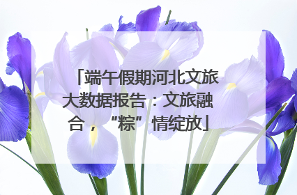 端午假期河北文旅大数据报告：文旅融合，“粽”情绽放