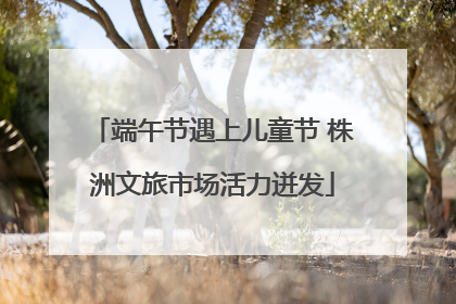 端午节遇上儿童节 株洲文旅市场活力迸发