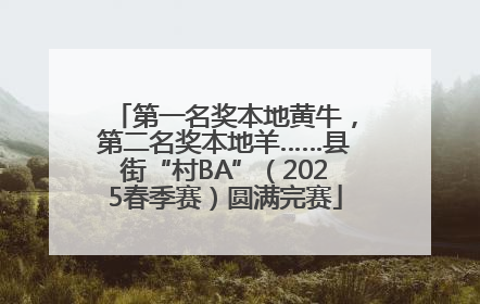 第一名奖本地黄牛，第二名奖本地羊……县街“村BA”（2025春季赛）圆满完赛