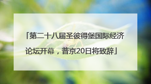 第二十八届圣彼得堡国际经济论坛开幕，普京20日将致辞