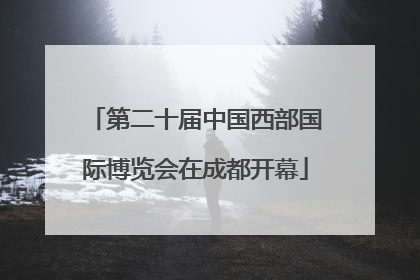 第二十届中国西部国际博览会在成都开幕