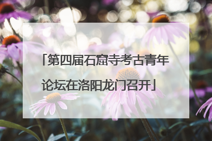 第四届石窟寺考古青年论坛在洛阳龙门召开