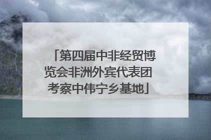 第四届中非经贸博览会非洲外宾代表团考察中伟宁乡基地