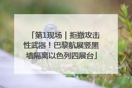 第1现场｜拒撤攻击性武器！巴黎航展竖黑墙隔离以色列四展台