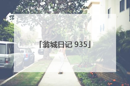 翁城日记 935