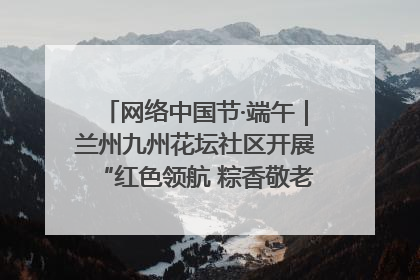 网络中国节·端午｜兰州九州花坛社区开展“红色领航 粽香敬老”端午主题活动
