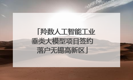 羚数人工智能工业垂类大模型项目签约落户无锡高新区