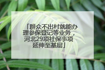 群众不出村就能办理参保登记等业务，河北29项社保事项延伸至基层