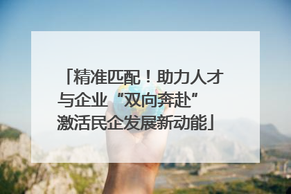 精准匹配！助力人才与企业“双向奔赴” 激活民企发展新动能