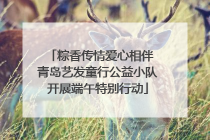 粽香传情爱心相伴 青岛艺发童行公益小队开展端午特别行动