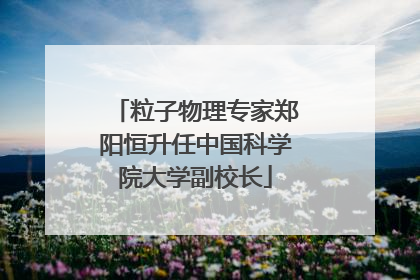 粒子物理专家郑阳恒升任中国科学院大学副校长