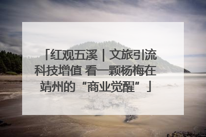 红观五溪｜文旅引流 科技增值 看一颗杨梅在靖州的“商业觉醒”