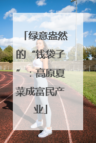 绿意盎然的“钱袋子”：高原夏菜成富民产业