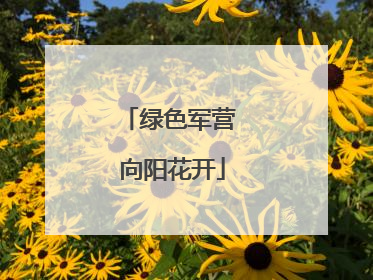 绿色军营 向阳花开