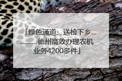 绿色通道、送检下乡…………德州高效办理农机业务4200多件