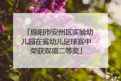 绵阳市安州区实验幼儿园在省幼儿足球赛中荣获双项二等奖