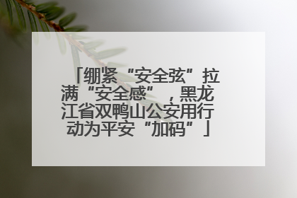绷紧“安全弦”拉满“安全感”，黑龙江省双鸭山公安用行动为平安“加码”