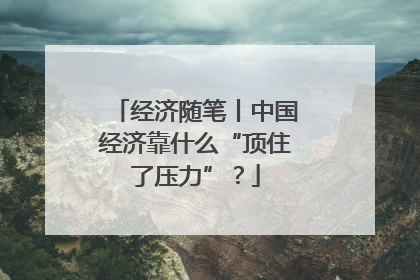 经济随笔丨中国经济靠什么“顶住了压力”？