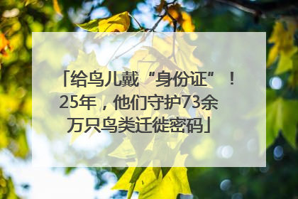 给鸟儿戴“身份证”！25年，他们守护73余万只鸟类迁徙密码