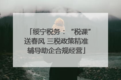 绥宁税务：“税课”送春风 三税政策精准辅导助企合规经营