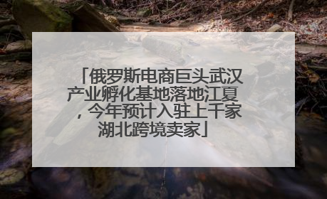 俄罗斯电商巨头武汉产业孵化基地落地江夏，今年预计入驻上千家湖北跨境卖家