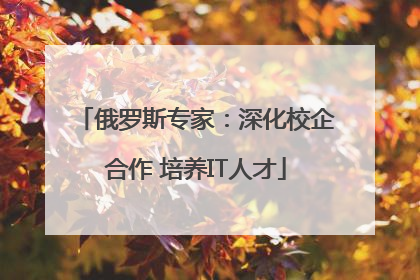 俄罗斯专家：深化校企合作 培养IT人才