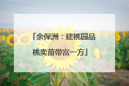 余保洲：建桃园品桃卖苗带富一方