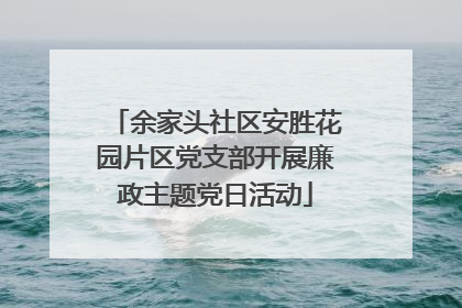 余家头社区安胜花园片区党支部开展廉政主题党日活动