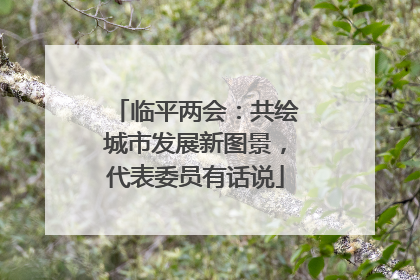 临平两会：共绘城市发展新图景，代表委员有话说