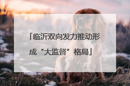 临沂双向发力推动形成“大监督”格局