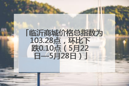 临沂商城价格总指数为103.28点，环比下跌0.10点（5月22日—5月28日）