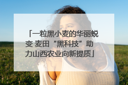 一粒黑小麦的华丽蜕变 麦田“黑科技”助力山西农业向新提质