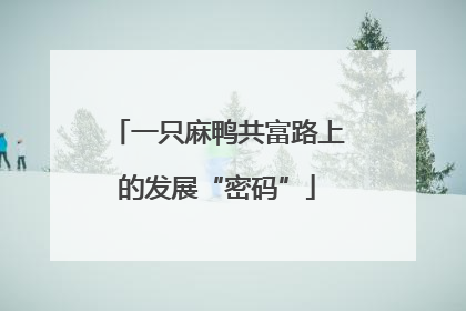 一只麻鸭共富路上的发展“密码”