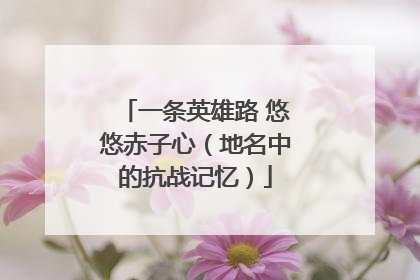 一条英雄路 悠悠赤子心（地名中的抗战记忆）