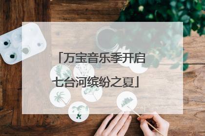 万宝音乐季开启七台河缤纷之夏