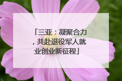 三亚：凝聚合力，共赴退役军人就业创业新征程