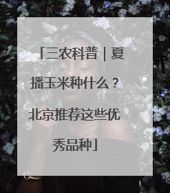三农科普｜夏播玉米种什么？北京推荐这些优秀品种