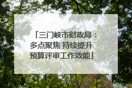 三门峡市财政局：多点聚焦 持续提升预算评审工作效能