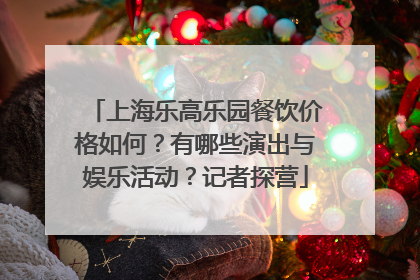 上海乐高乐园餐饮价格如何？有哪些演出与娱乐活动？记者探营
